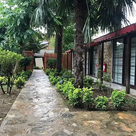 Agva Paradise מלון *