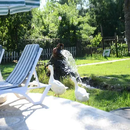 Agva Paradise * Istanbul
